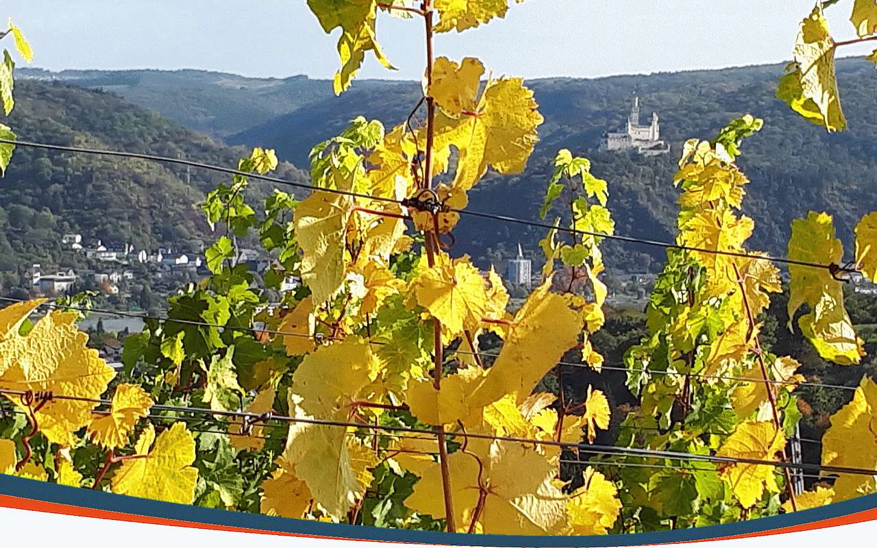 Wein genießen- Haus am Park